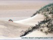 1303230409 - 000 - namibia desert variegatged jaakal